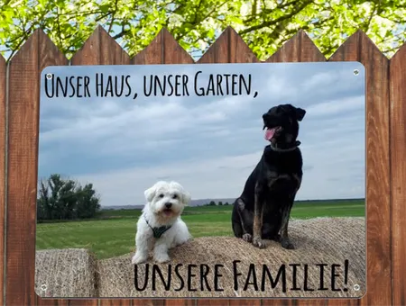  Hunde UNSER HAUS Bild