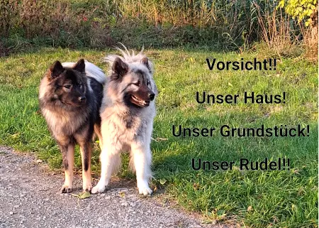 Hunde Unser Haus! Unser Grundstück! Unser Rudel! Bild