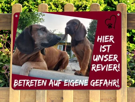 Hunde Unser Revier! Bild