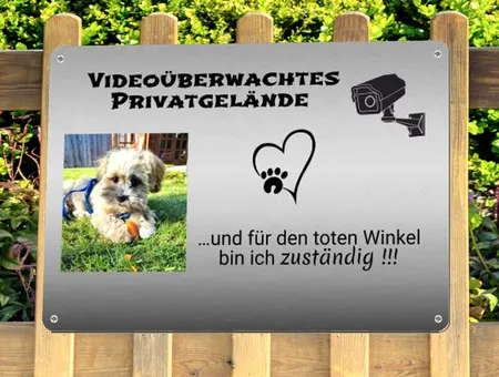 Hunde Videoüberwachtes Privatgelände Bild