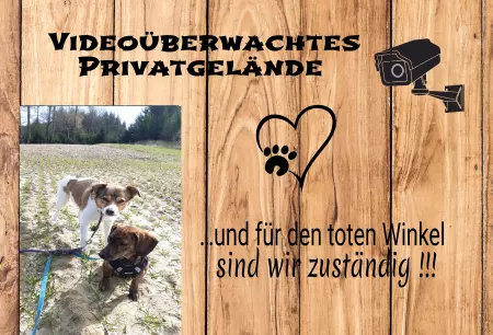Hunde VIDEOÜBERWACHTES PRIVATGELÄNDE Bild