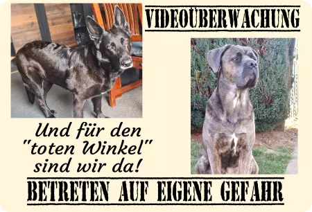 Hunde Videoüberwachung, und für den 