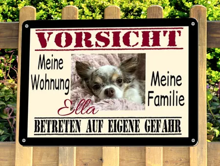 Hunde VORSICHT Bild