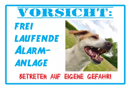 Hunde Vorsicht: Frei laufende Alarmanlage Bild