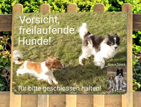  Hunde Vorsicht freilaufende Hunde! Bild