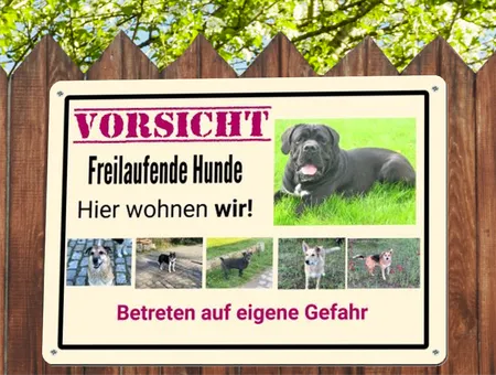 Hunde VORSICHT Freilaufender Hund Bild