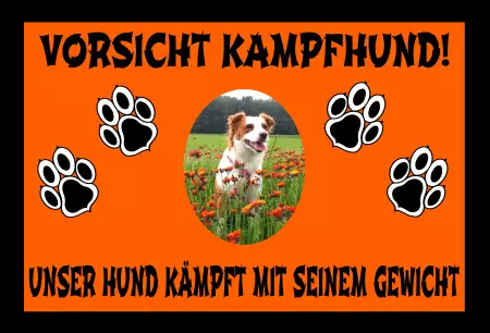 Hunde Vorsicht Kampfhund! Bild