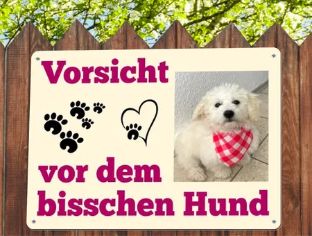 Hunde Vorsicht vor dem bisschen Hund Bild