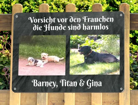 Hunde Vorsicht vor dem Frauchen Bild