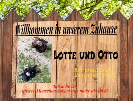 Hunde Willkommen Bild