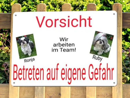 Hunde Wir arbeiten im Team! Bild
