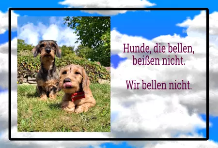  Hunde Wir bellen nicht. Bild