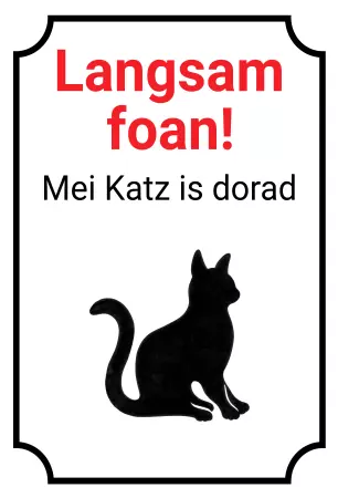Katzen Langsam foan! Mei Katz is dorad Bild