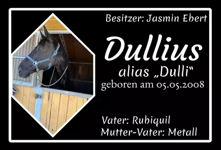 Pferde Dullius Bild