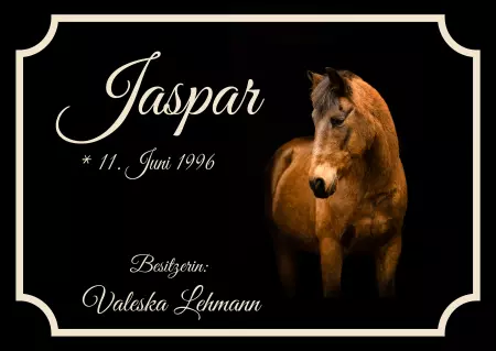 Pferde Jaspar Bild
