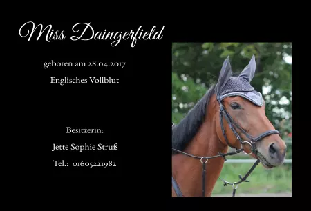 Pferde Miss Daingerfield Bild