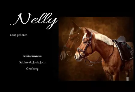 Pferde Nelly Bild