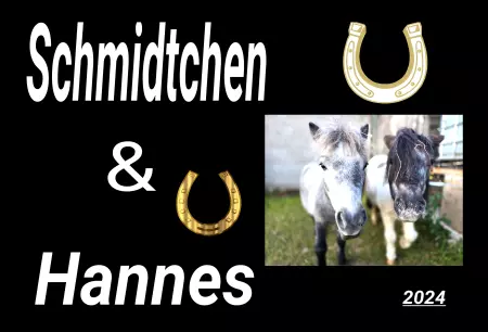 Pferde Schmidtchen & Hannes Bild