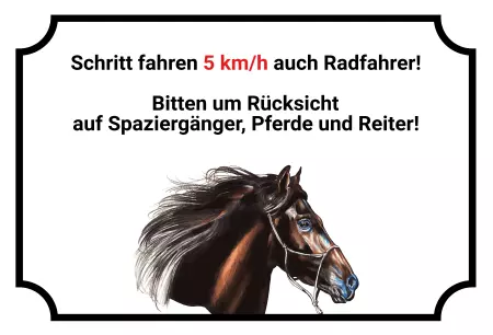 Pferde Schritt fahren!! Bild