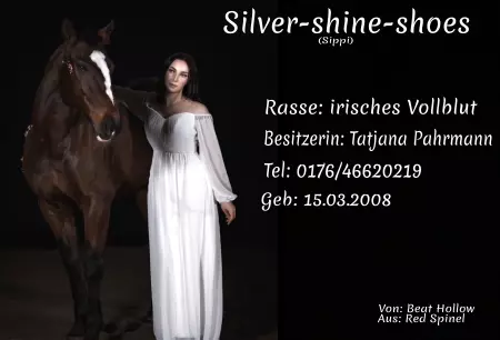 Pferde Silver-shine-shoes Bild