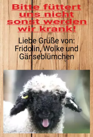 Tiere Bitte nicht füttern! Bild
