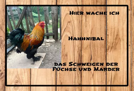 Tiere Hier wache ich Bild