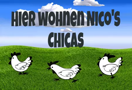  Tiere Hier wohnen Nico´s Chicas Bild