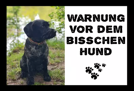  Tiere Warnung vor dem bisschen Hund Bild